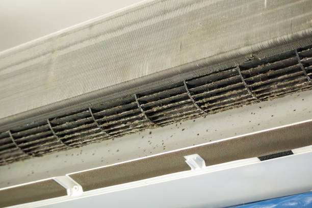 Best Ductwork Cleaning Services  in Orinda, CA